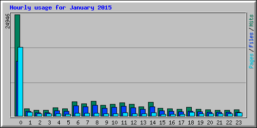 Hourly usage for January 2015